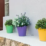 Apartamento Senka